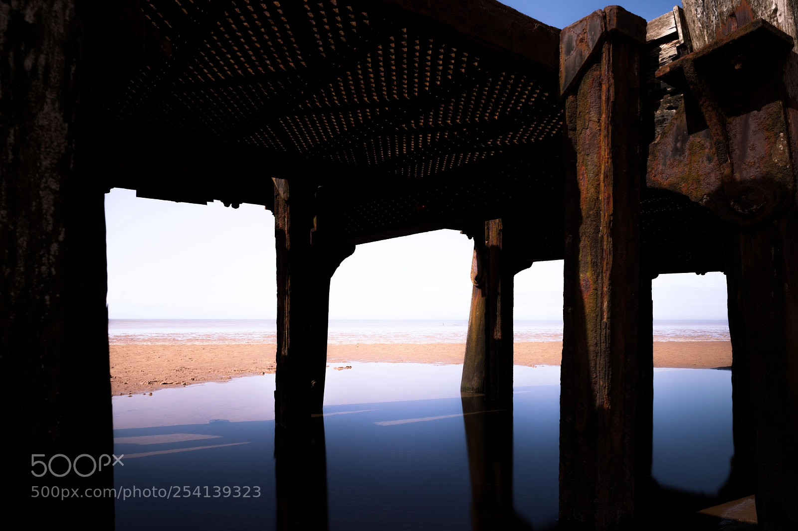 Canon EOS 5D Mark II sample photo. Shade photography