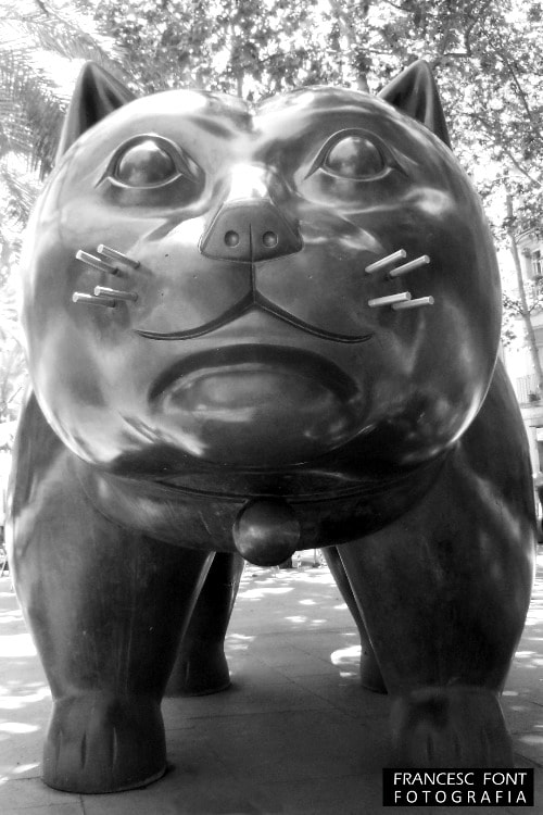 Nikon COOLPIX S6150 sample photo. "el gat" de fernando botero photography