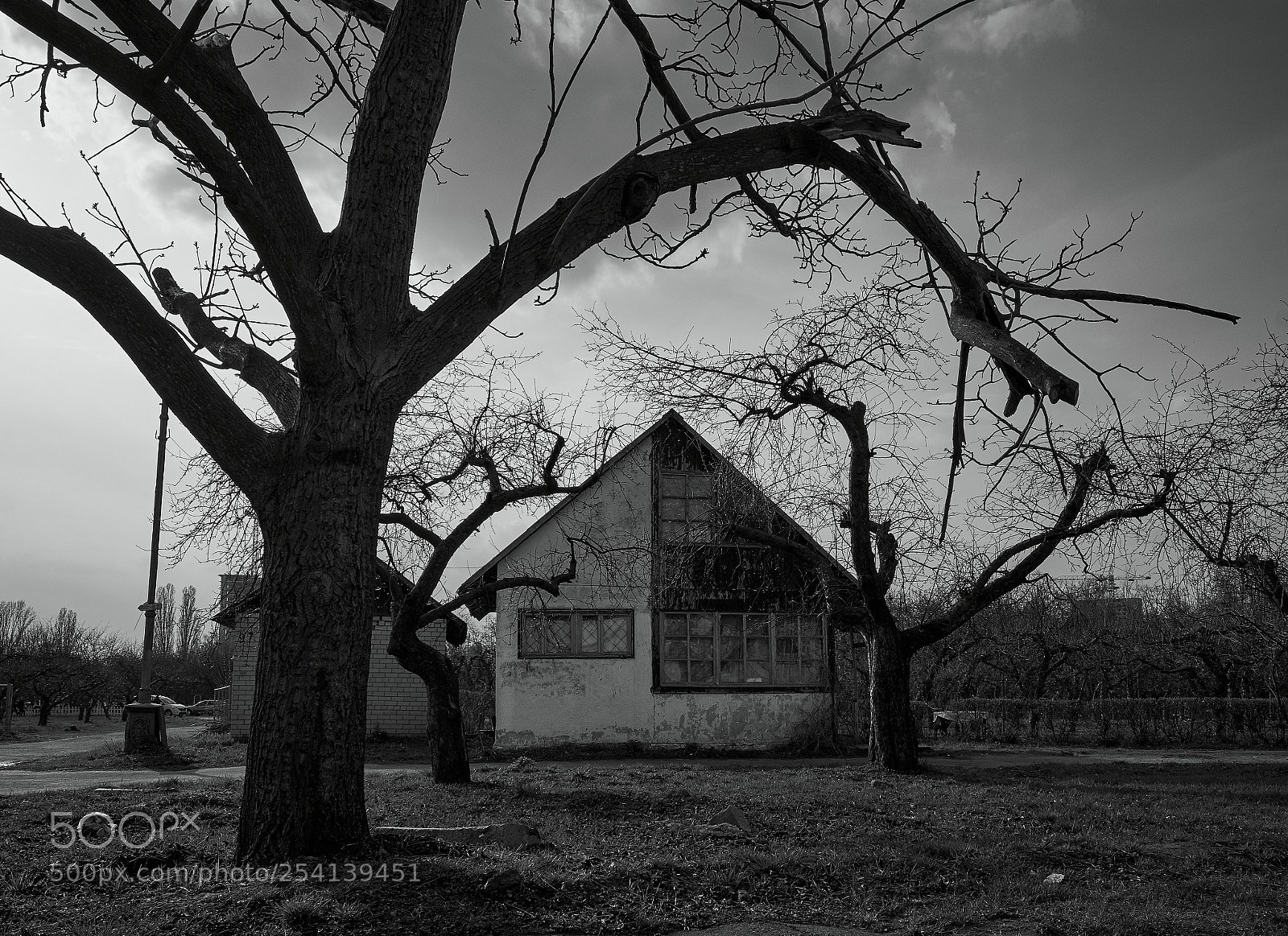 Nikon D7100 sample photo. Old shack photography