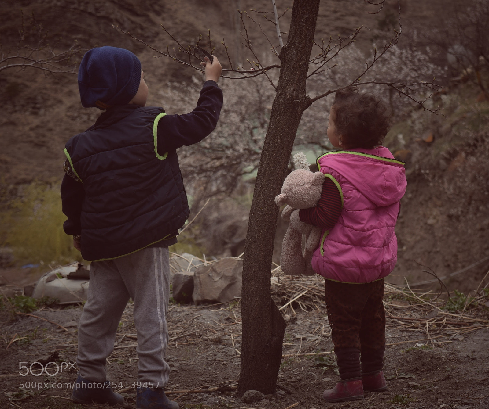 Nikon D3300 sample photo. Untitled photography