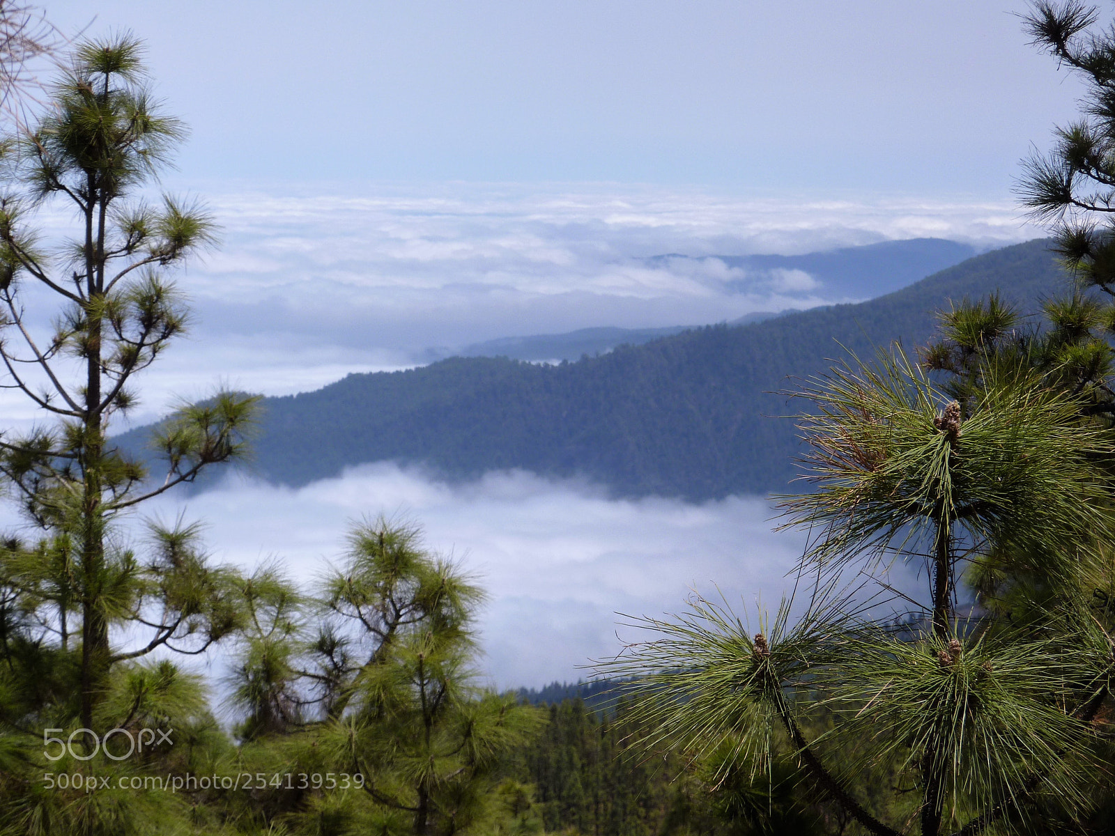 Panasonic DMC-TZ7 sample photo. Over the clouds photography