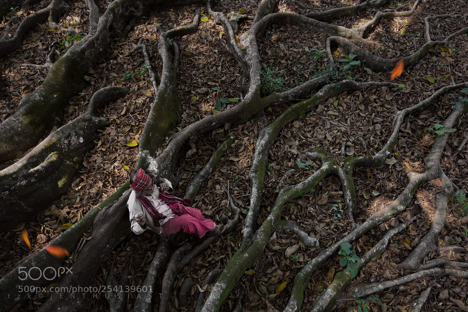 Canon EOS 60D sample photo. Edit photography