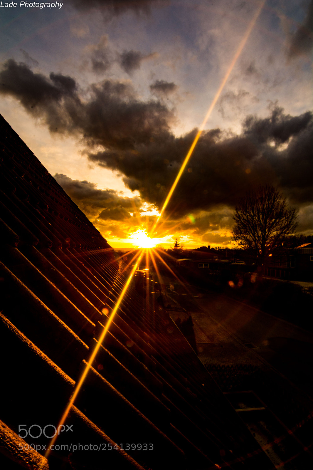 Nikon D7100 sample photo. Flare photography