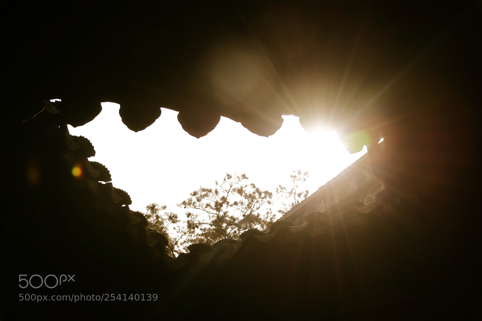 Nikon D7100 sample photo. Untitled photography