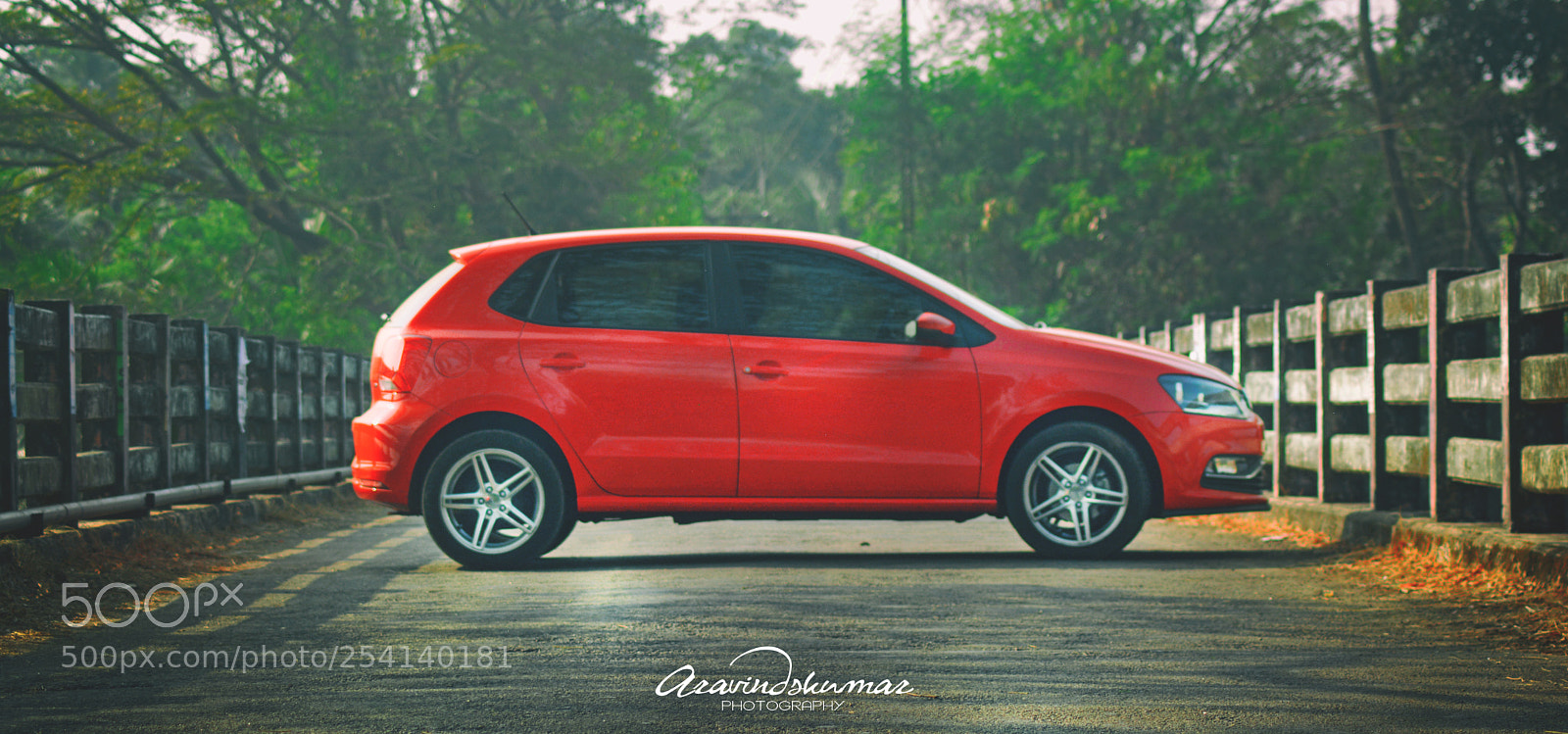 Nikon D5200 sample photo. Polo photography