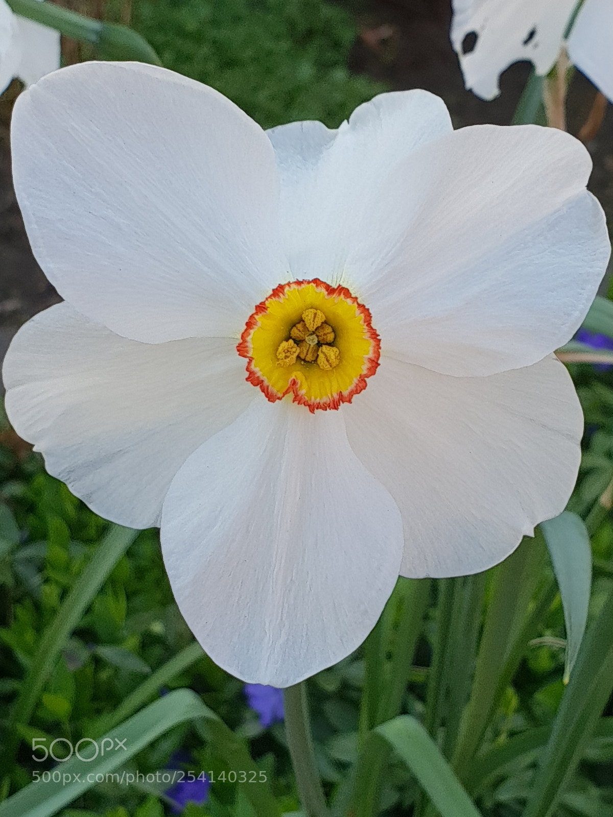 Samsung Galaxy S9+ sample photo. Untitled photography