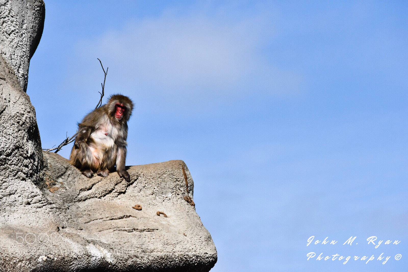 Nikon D3400 sample photo. King of the world photography