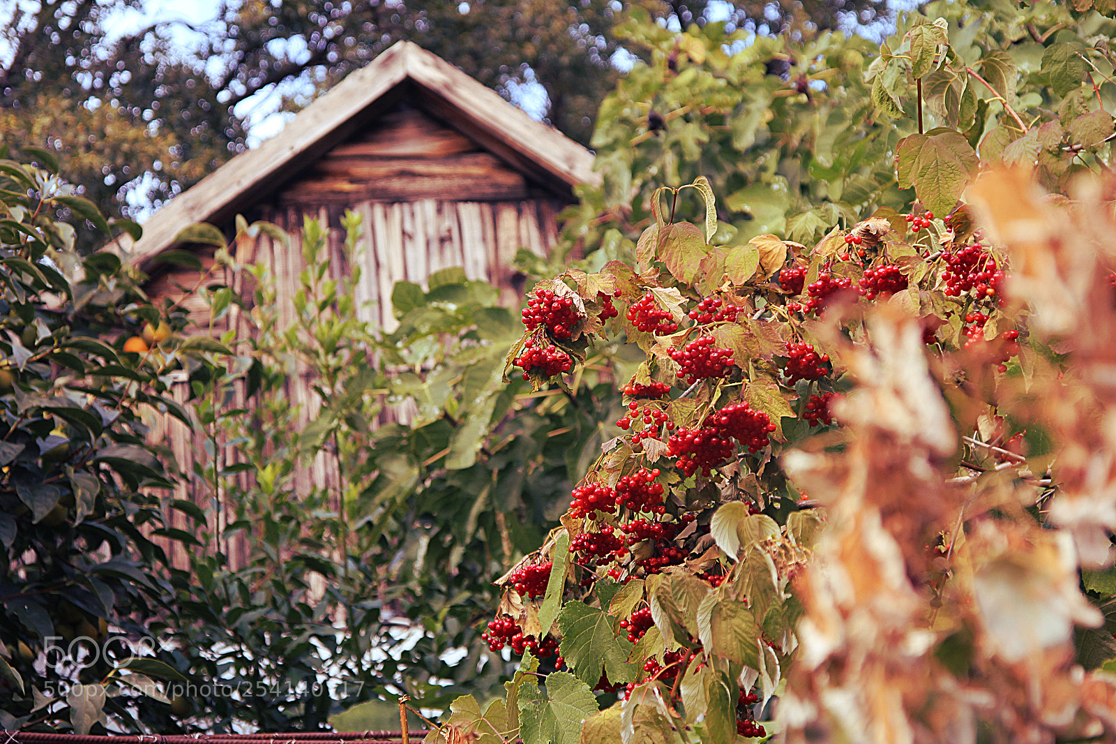 Canon EOS 600D (Rebel EOS T3i / EOS Kiss X5) sample photo. Rural photography
