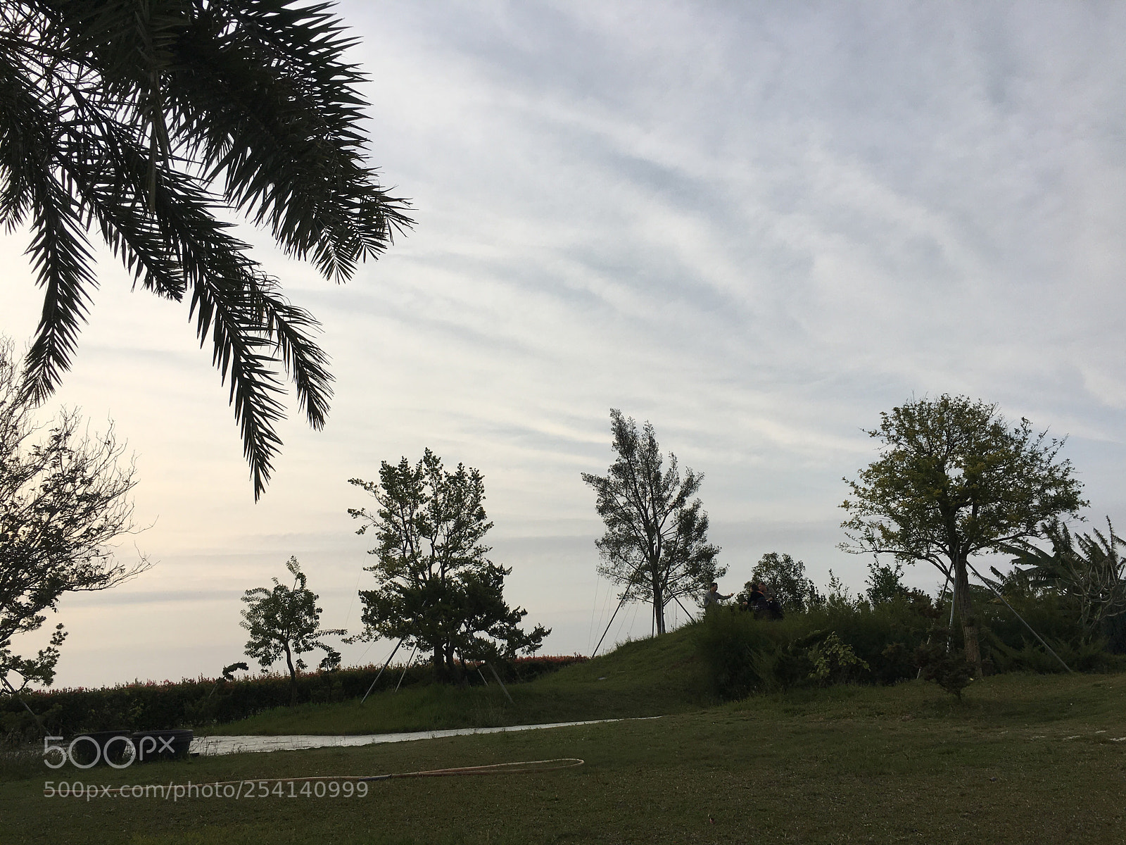 Apple iPhone 6s Plus sample photo. Untitled photography