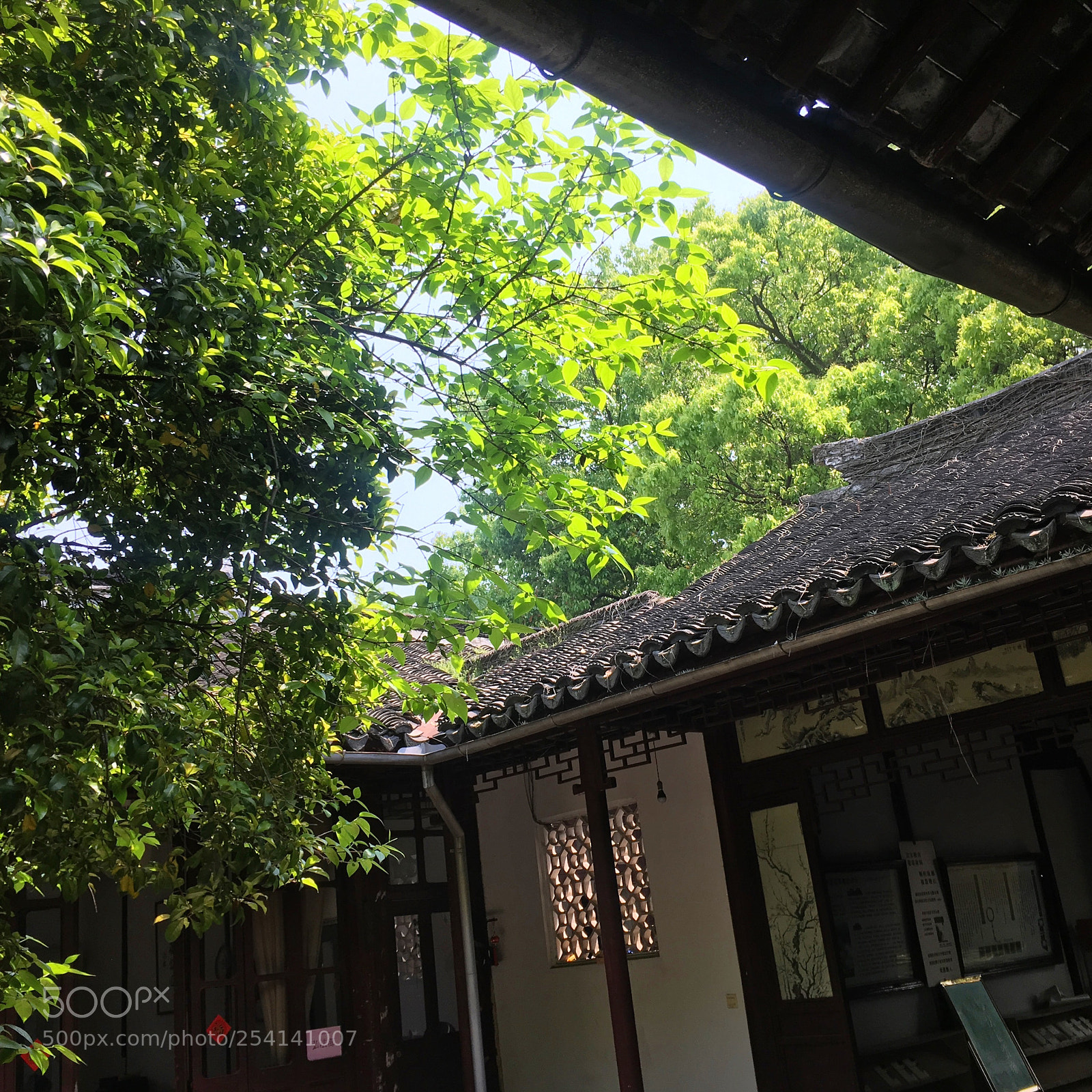 Apple iPhone 6s sample photo. Suzhou china photography