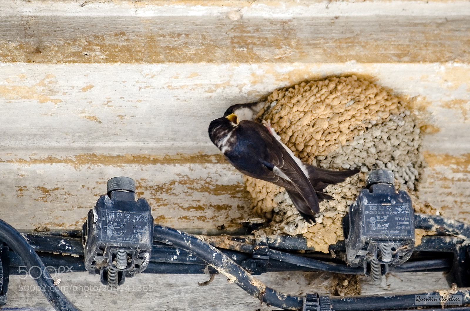 Nikon D7000 sample photo. Hautefort - dordogne photography