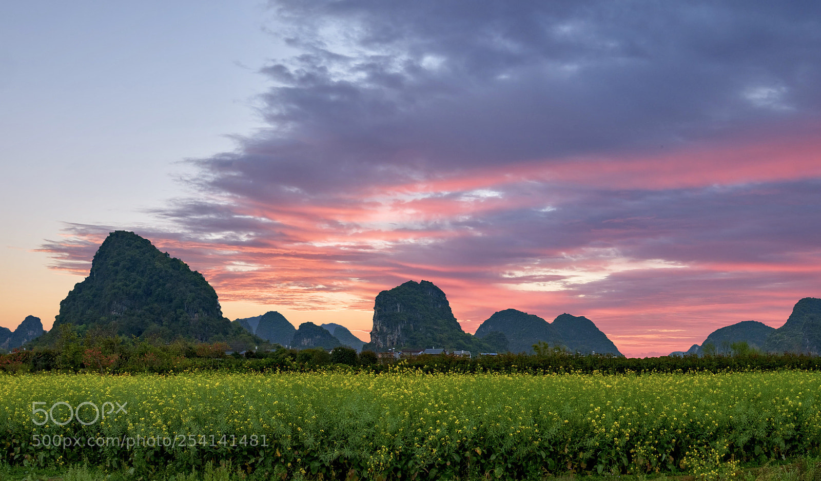 Fujifilm X-Pro2 sample photo. 　spring at yangshuo
　　　阳朔 photography