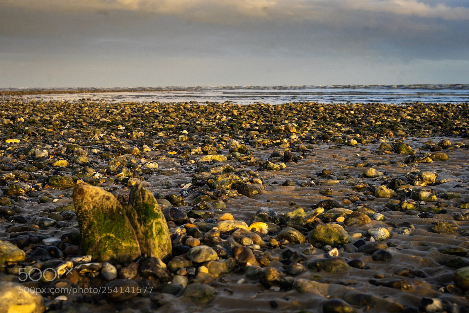 Sony a7R sample photo. Seashore  photography