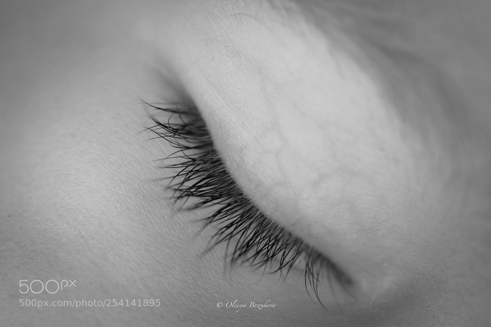 Nikon D500 sample photo. Eyelashes... photography