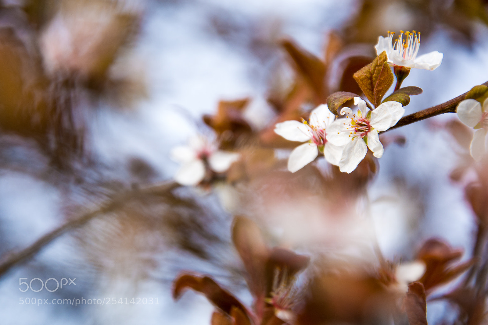 Nikon D7100 sample photo. Untitled photography