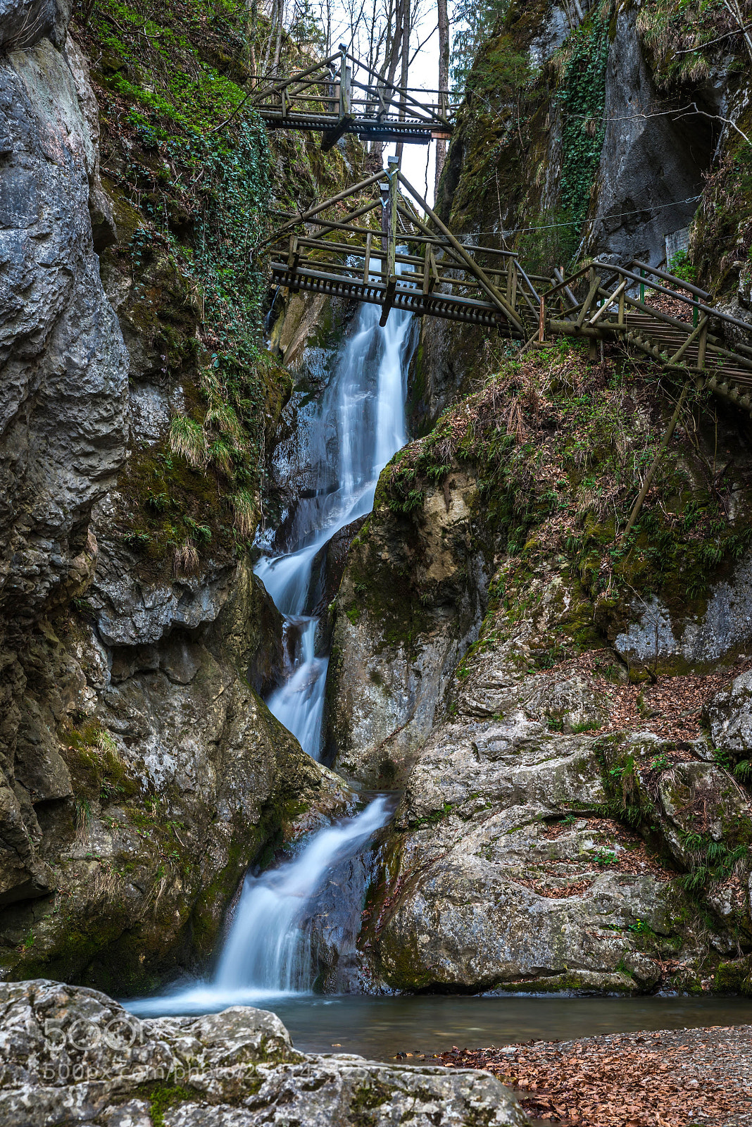 Nikon D800E sample photo. Untitled photography