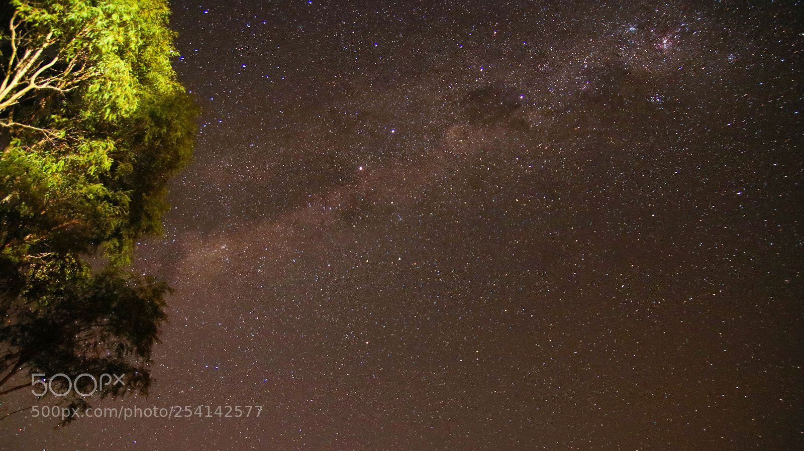 Canon EOS 760D (EOS Rebel T6s / EOS 8000D) sample photo. Star trails, milky way photography