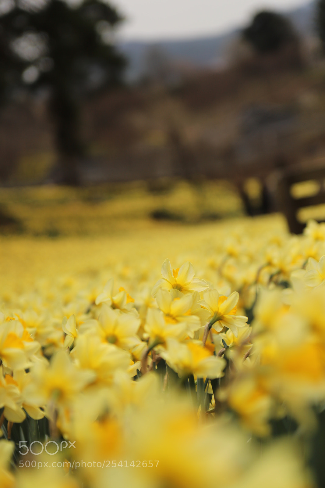 Canon EOS 6D Mark II sample photo. Untitled photography