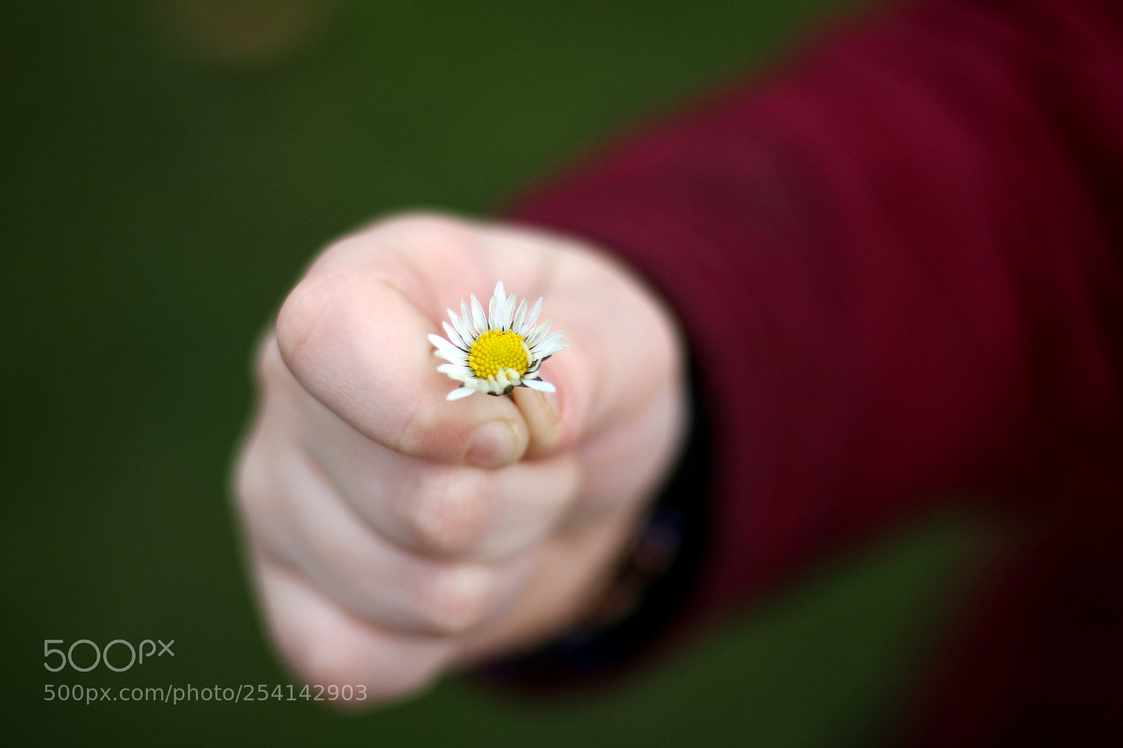 Canon EOS 70D sample photo. Untitled photography