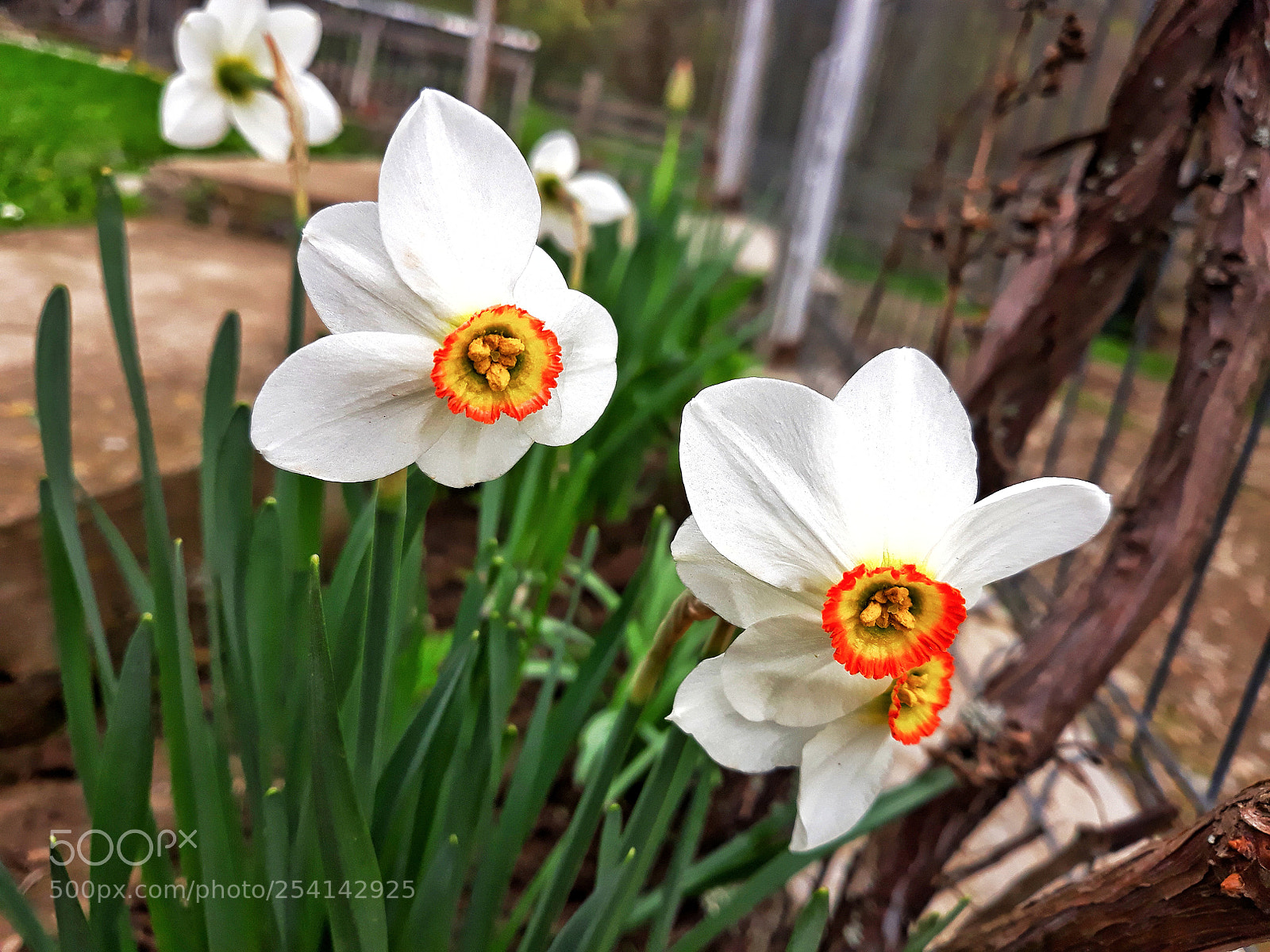 Samsung Galaxy J5 sample photo. Untitled photography