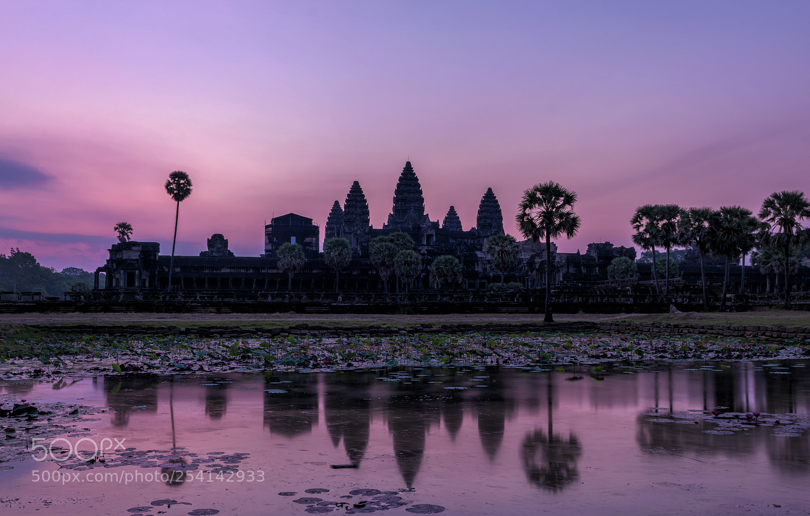 Nikon D850 sample photo. Angkor wat at sunrise photography