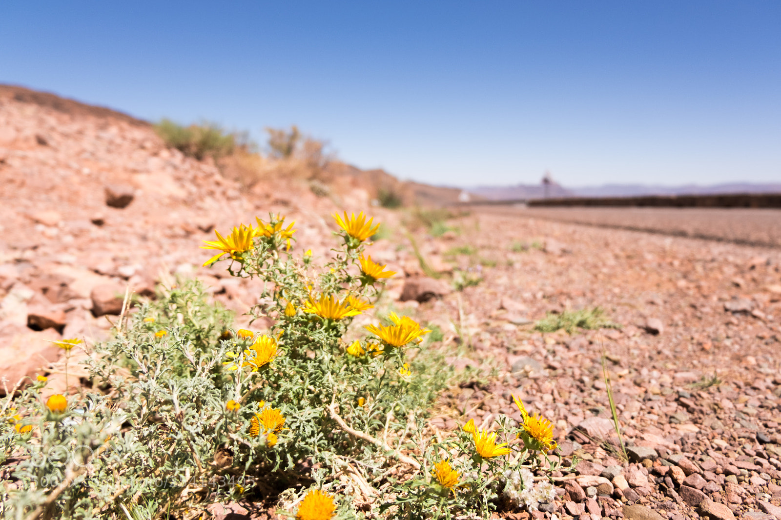 Fujifilm X-T20 sample photo. On the desert road photography