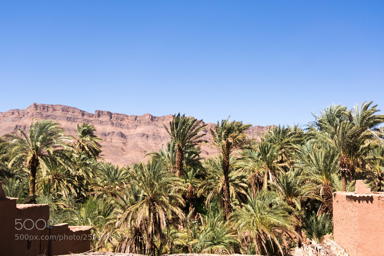 Fujifilm X-T20 sample photo. On the desert road photography