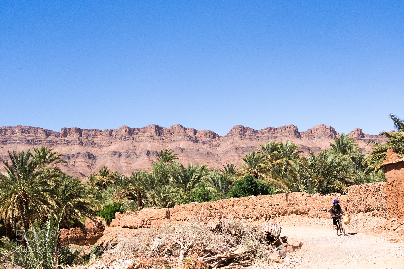 Fujifilm X-T20 sample photo. On the desert road photography