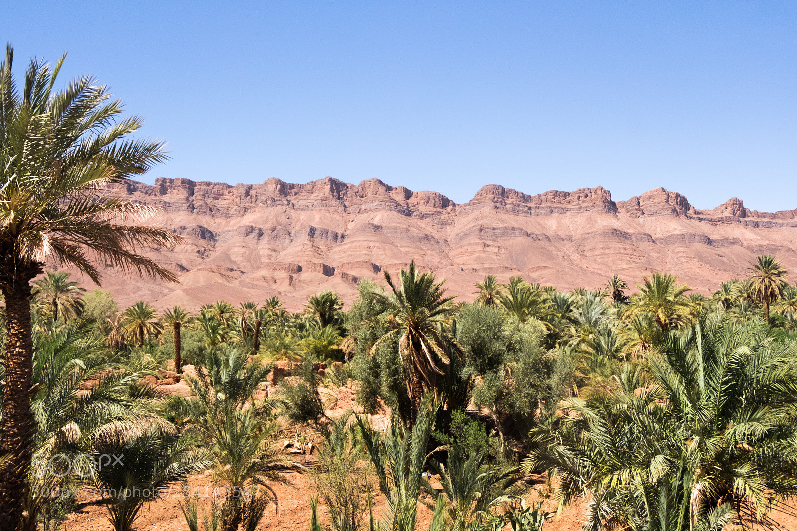 Fujifilm X-T20 sample photo. On the desert road photography