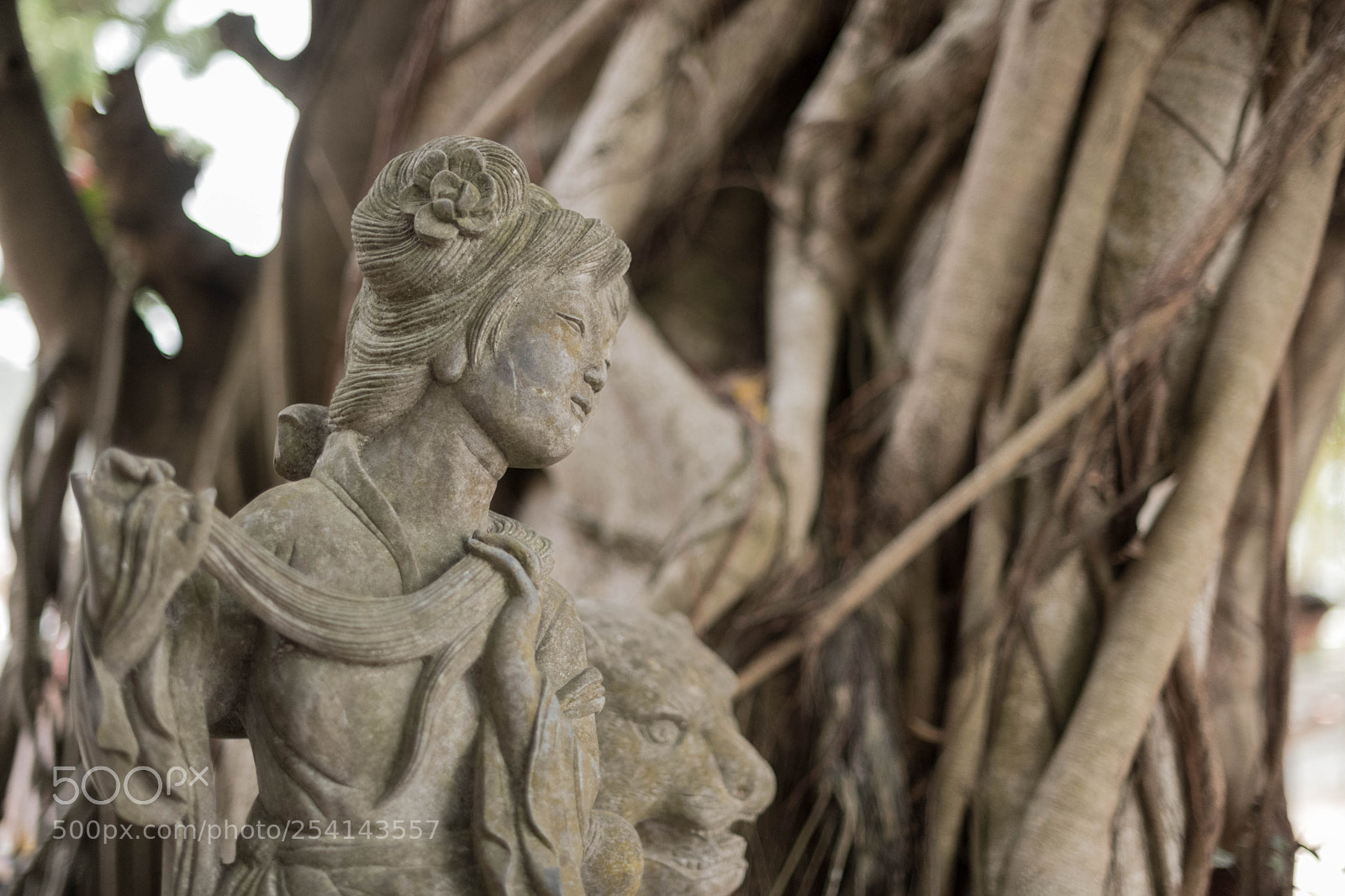 Nikon D850 sample photo. Tin hau temple godess photography