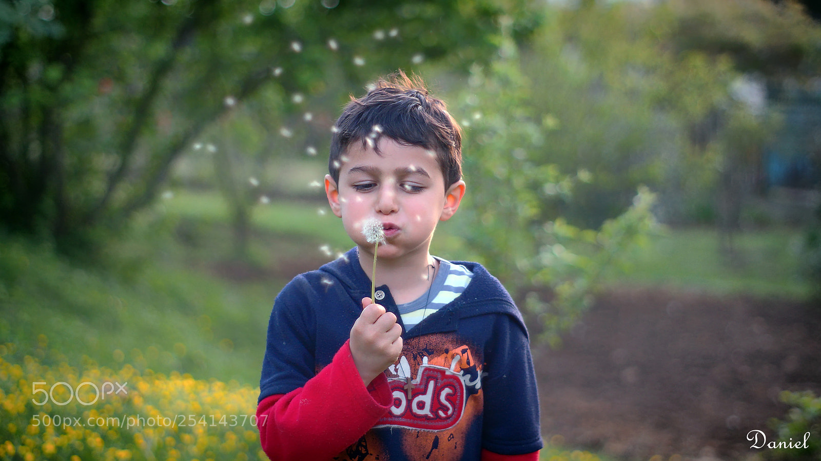 Sony SLT-A77 sample photo. Andria photography