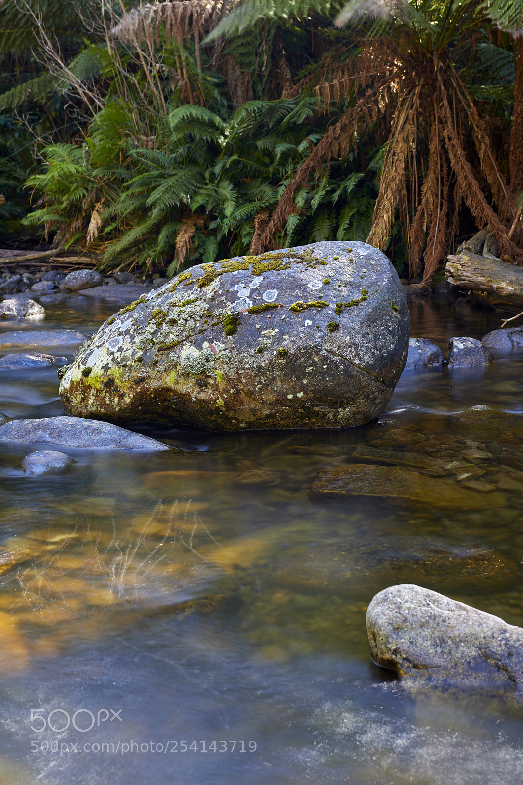 Canon EOS 6D Mark II sample photo. Taggerty river, photography