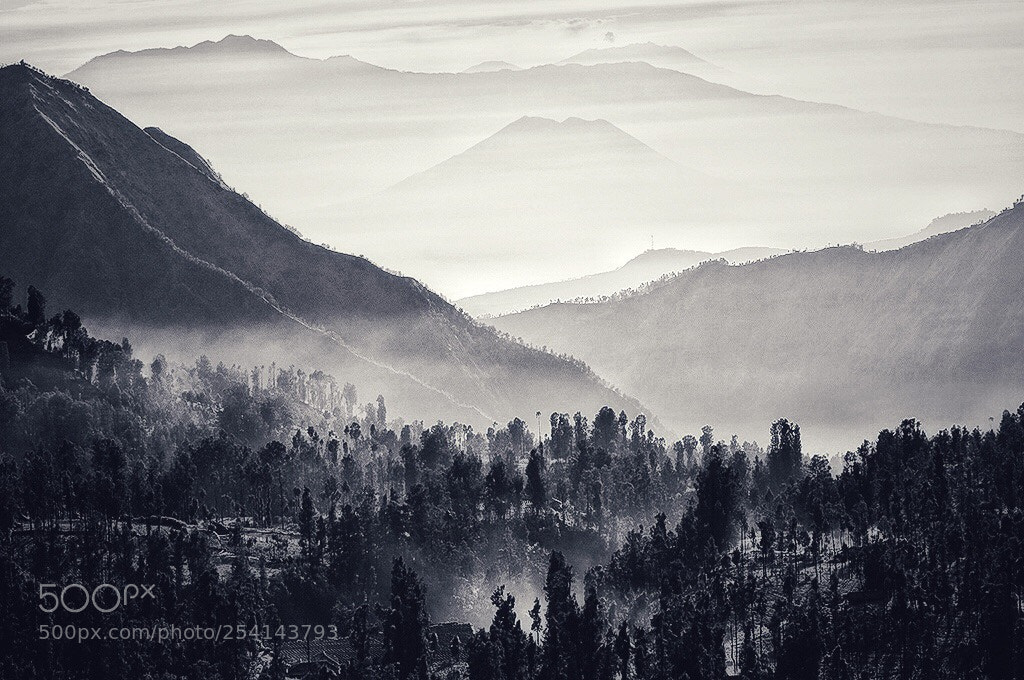 Nikon D300S sample photo. Misty morning photography