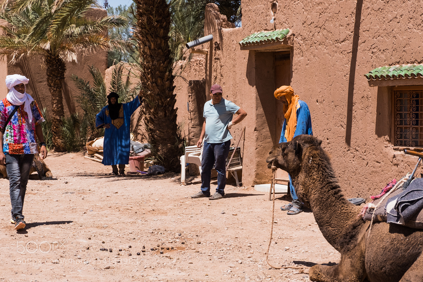 Fujifilm X-T20 sample photo. M'hamid camel ride photography