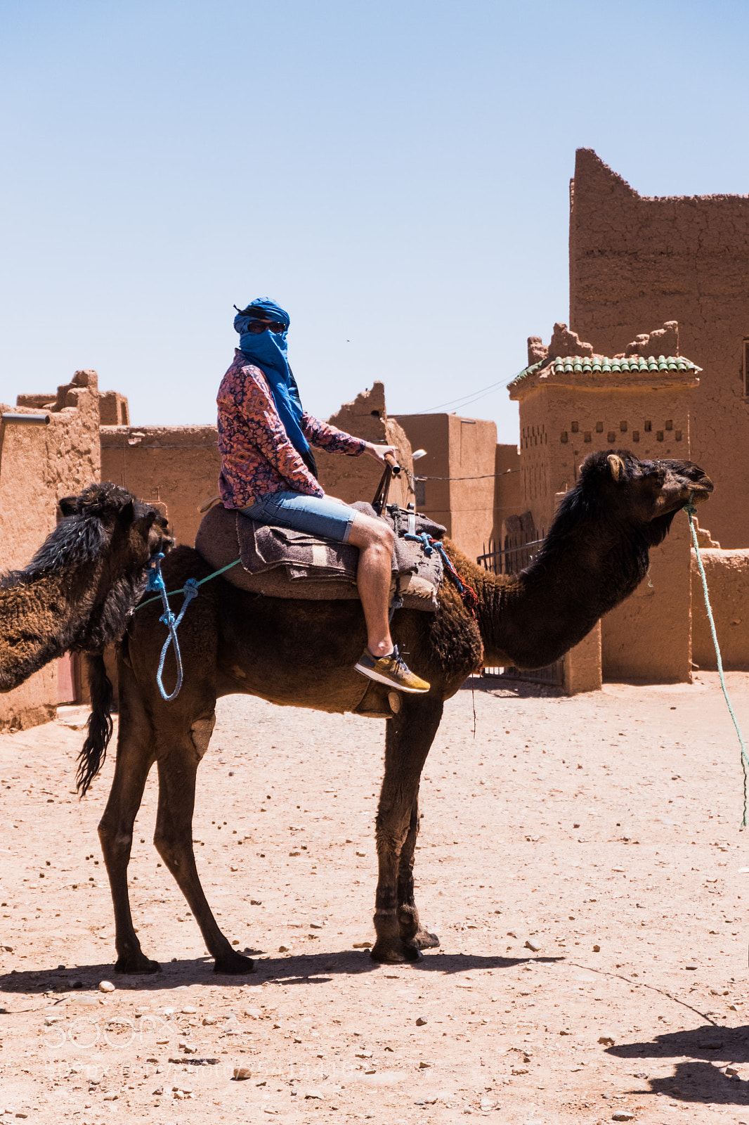 Fujifilm X-T20 sample photo. M'hamid camel ride photography