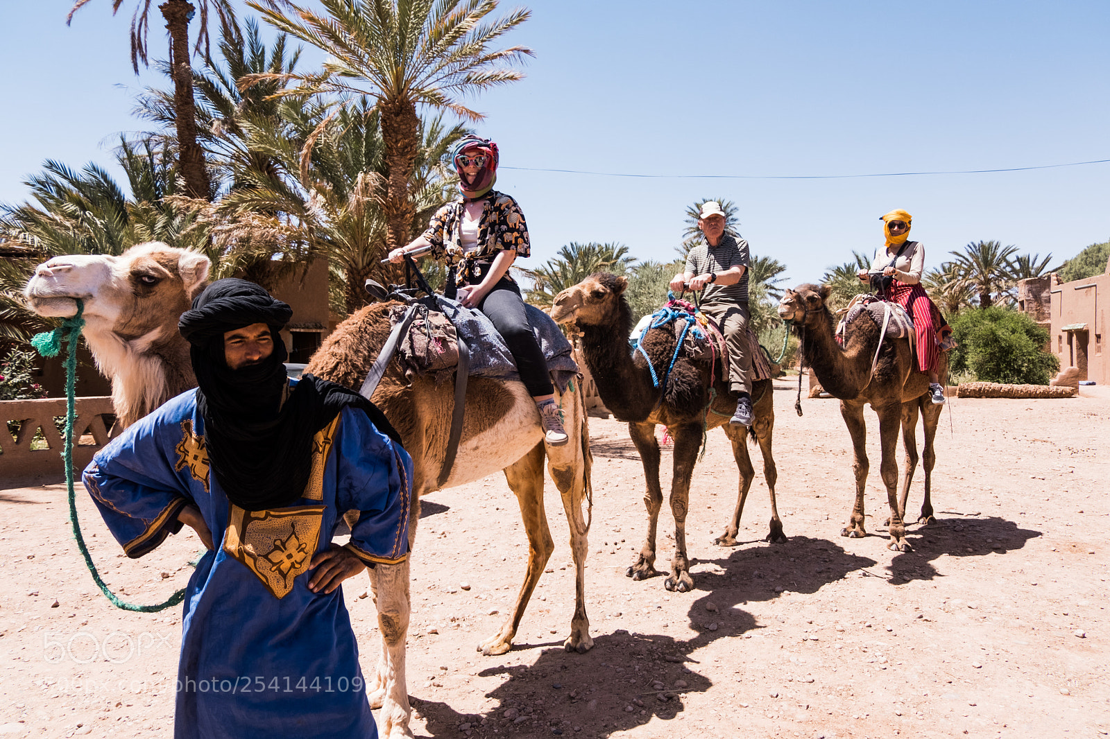 Fujifilm X-T20 sample photo. M'hamid camel ride photography