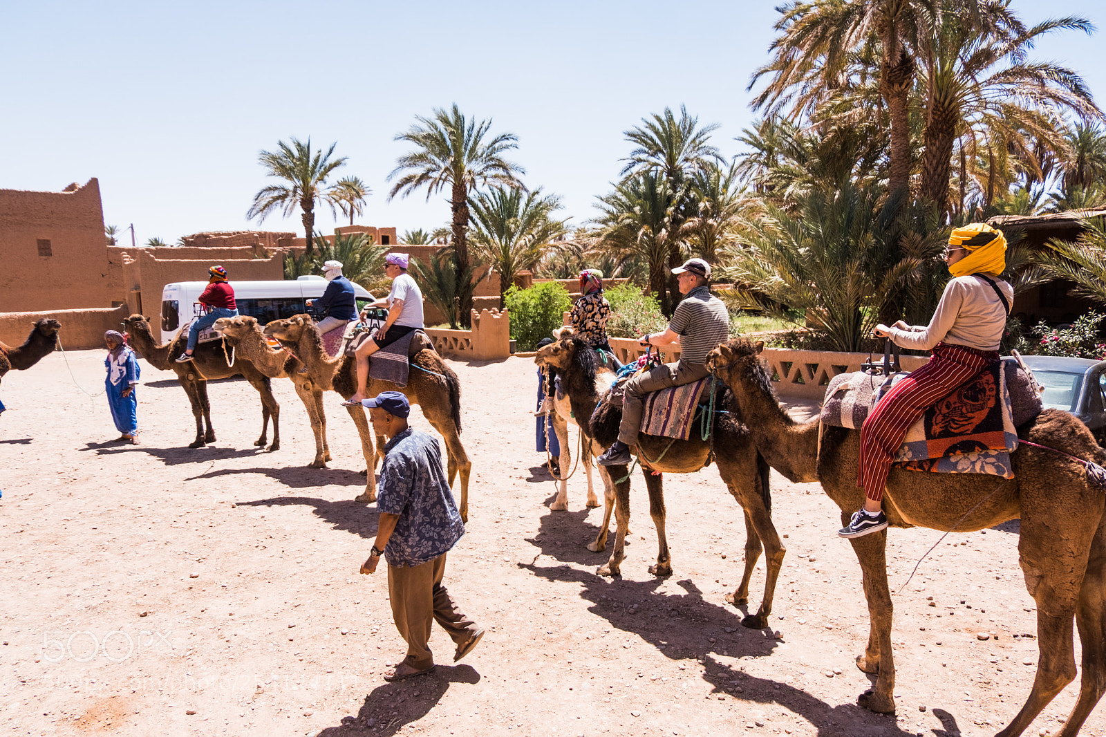 Fujifilm X-T20 sample photo. M'hamid camel ride photography