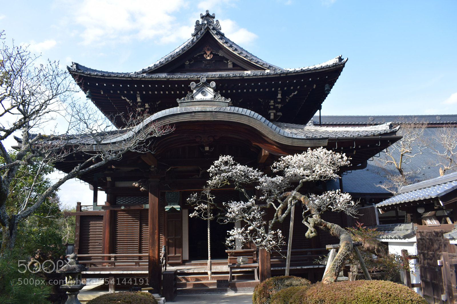 Nikon D5300 sample photo. Zen temples + spring photography