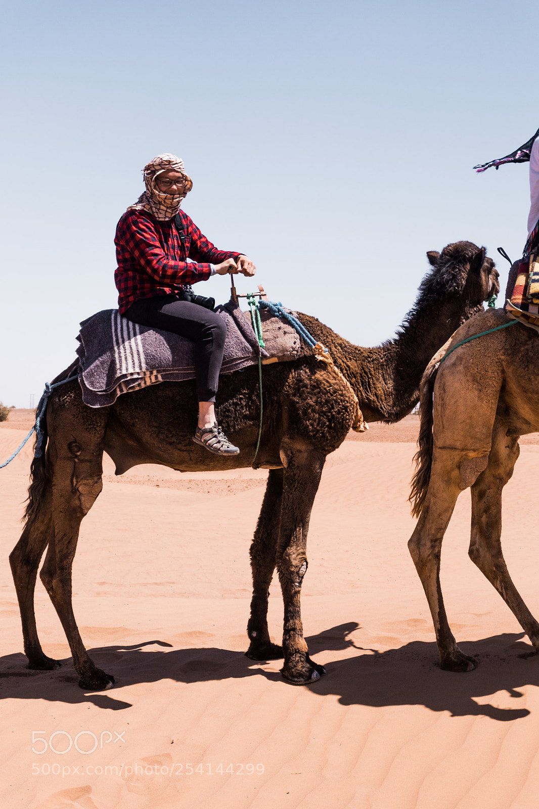 Fujifilm X-T20 sample photo. M'hamid camel ride photography