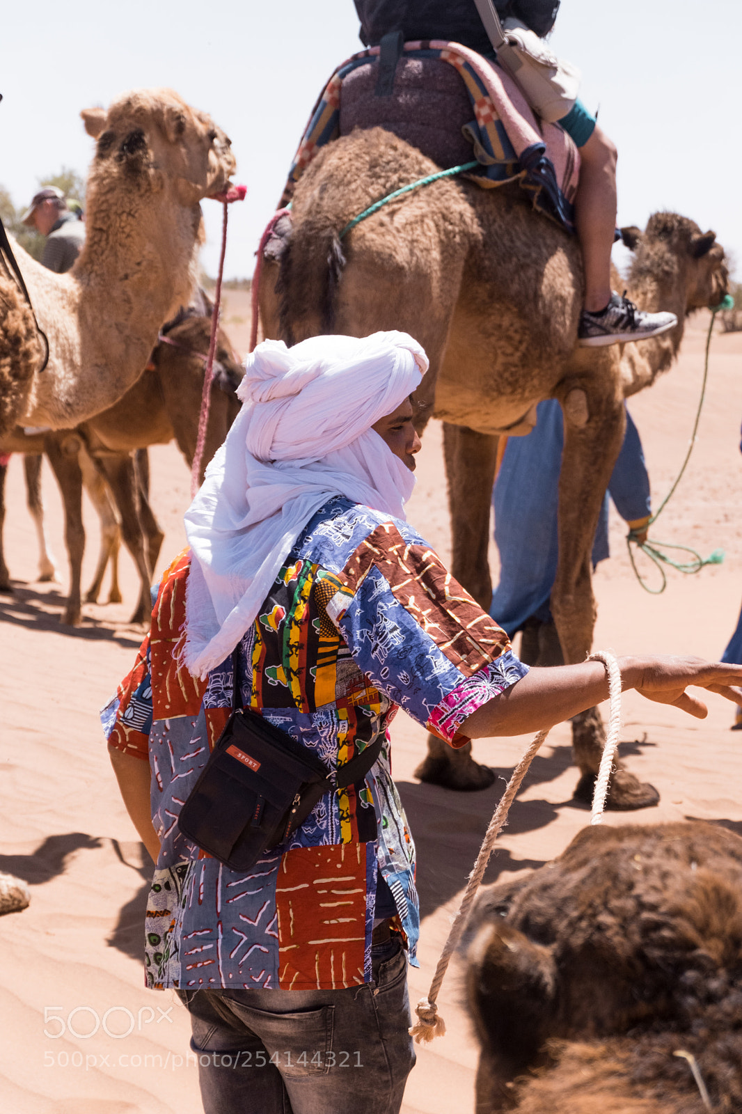 Fujifilm X-T20 sample photo. M'hamid camel ride photography