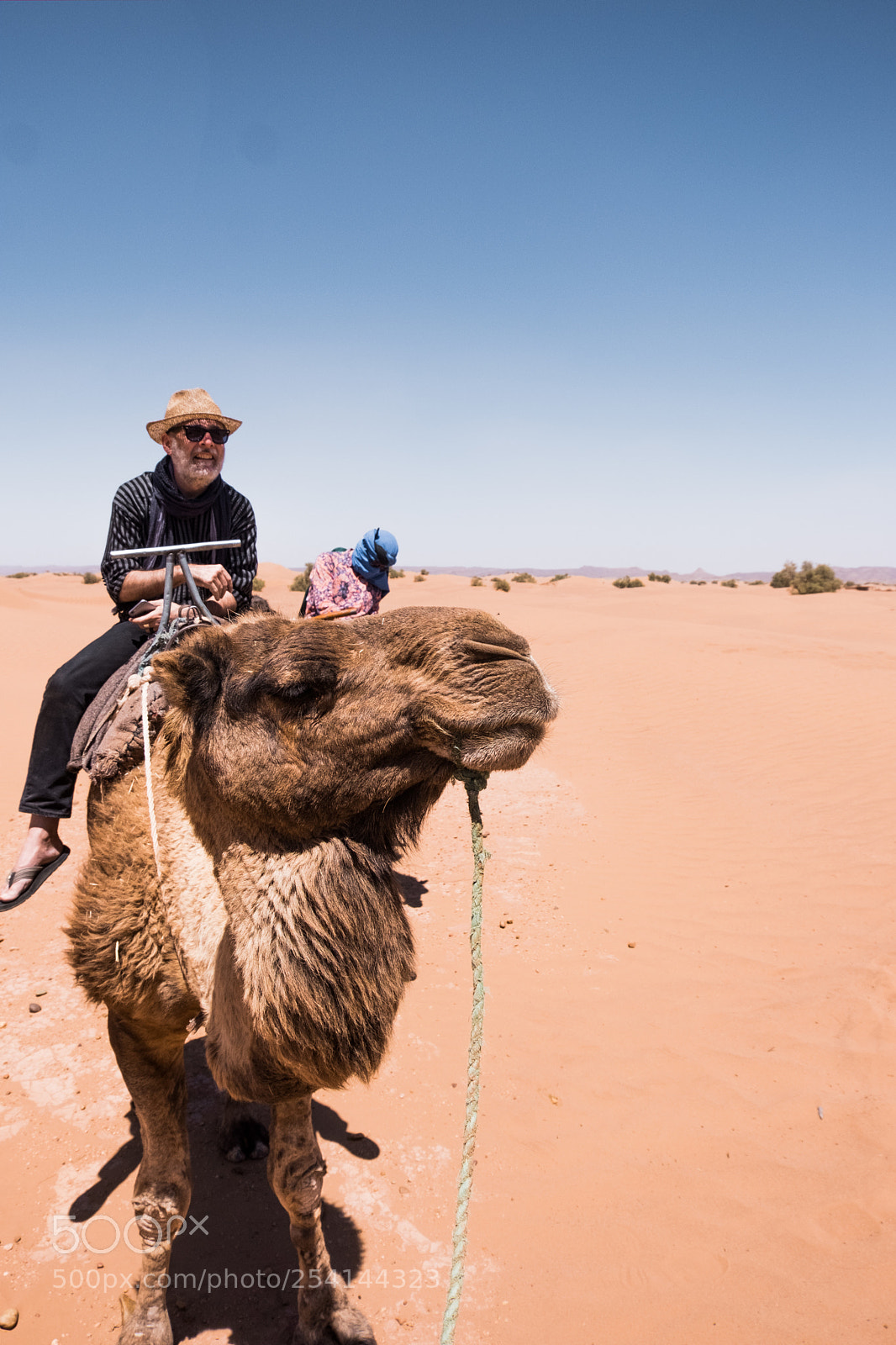 Fujifilm X-T20 sample photo. M'hamid camel ride photography