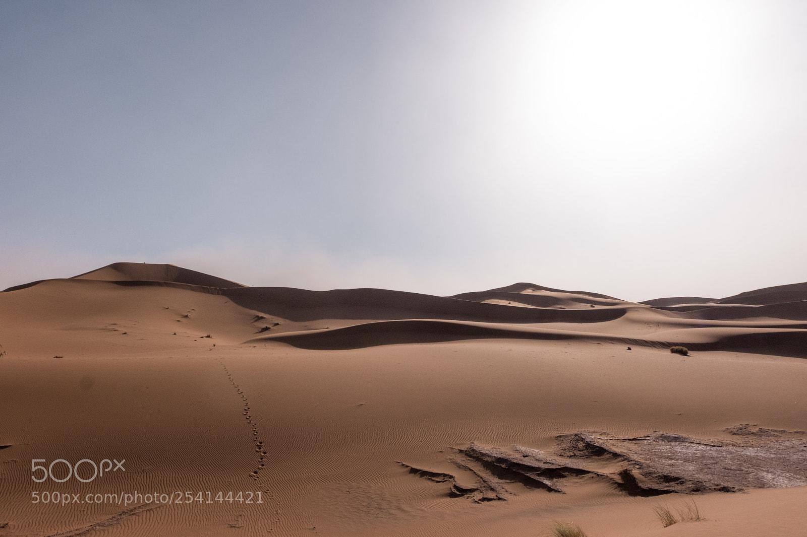 Fujifilm X-T20 sample photo. Sahara- erg chigaga photography