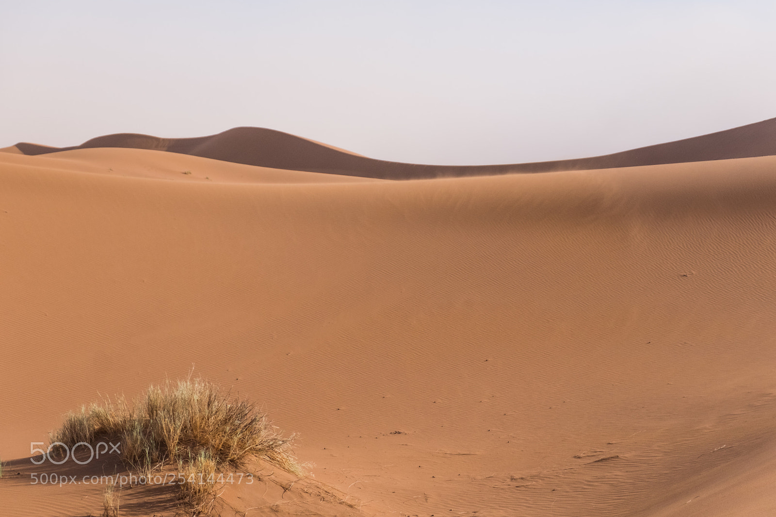 Fujifilm X-T20 sample photo. Sahara- erg chigaga photography
