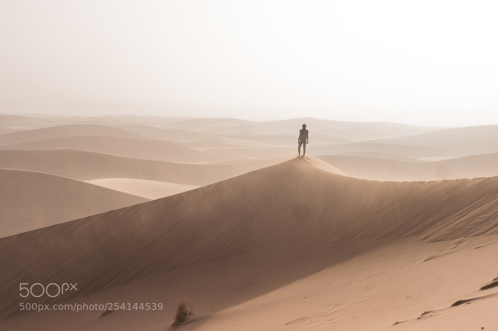 Fujifilm X-T20 sample photo. Sahara- erg chigaga photography