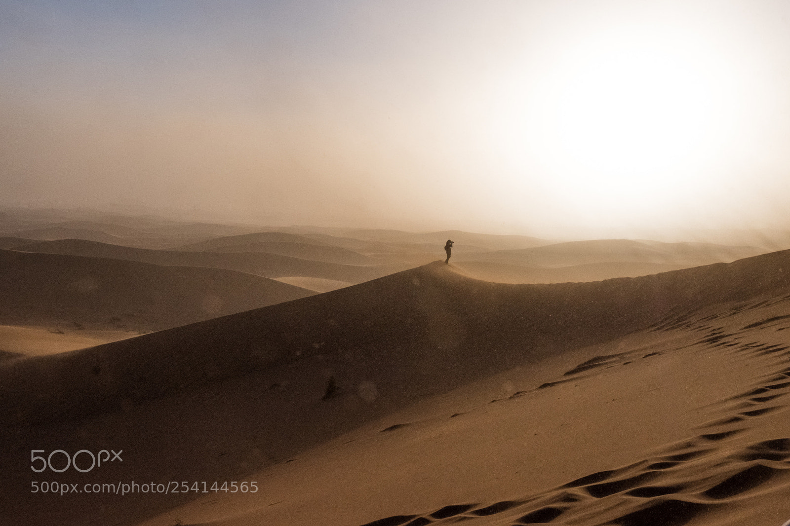 Fujifilm X-T20 sample photo. Sahara- erg chigaga photography