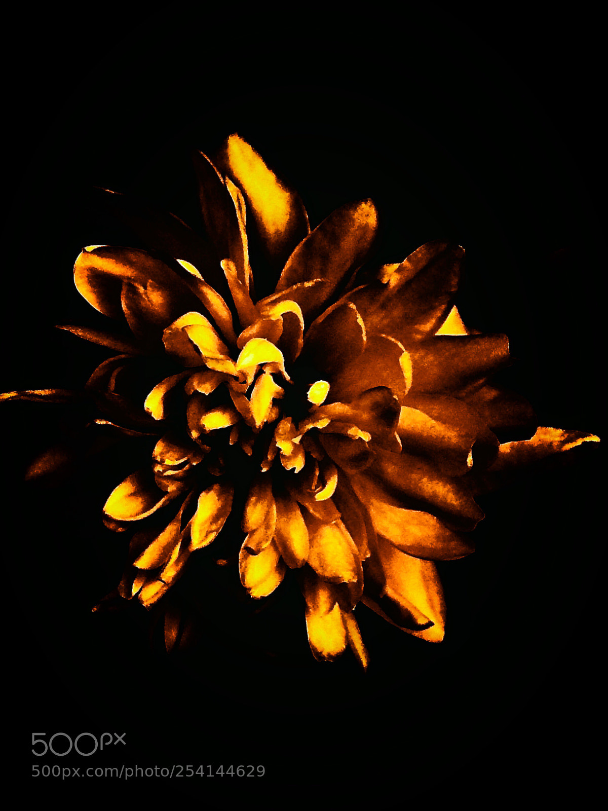 Apple iPhone 5s sample photo. Golden spring time  photography