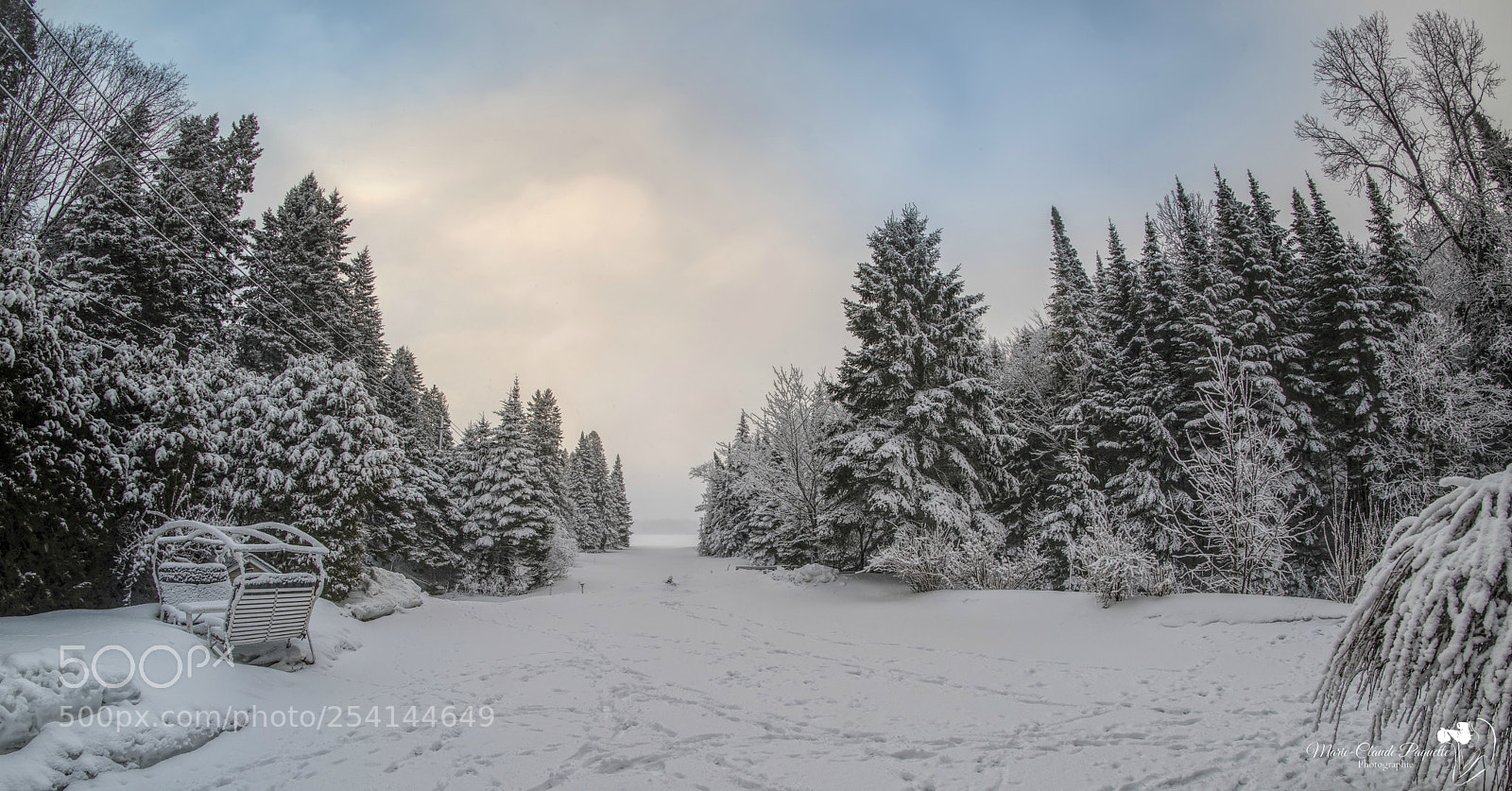 Nikon D810 sample photo. Levé blanc photography