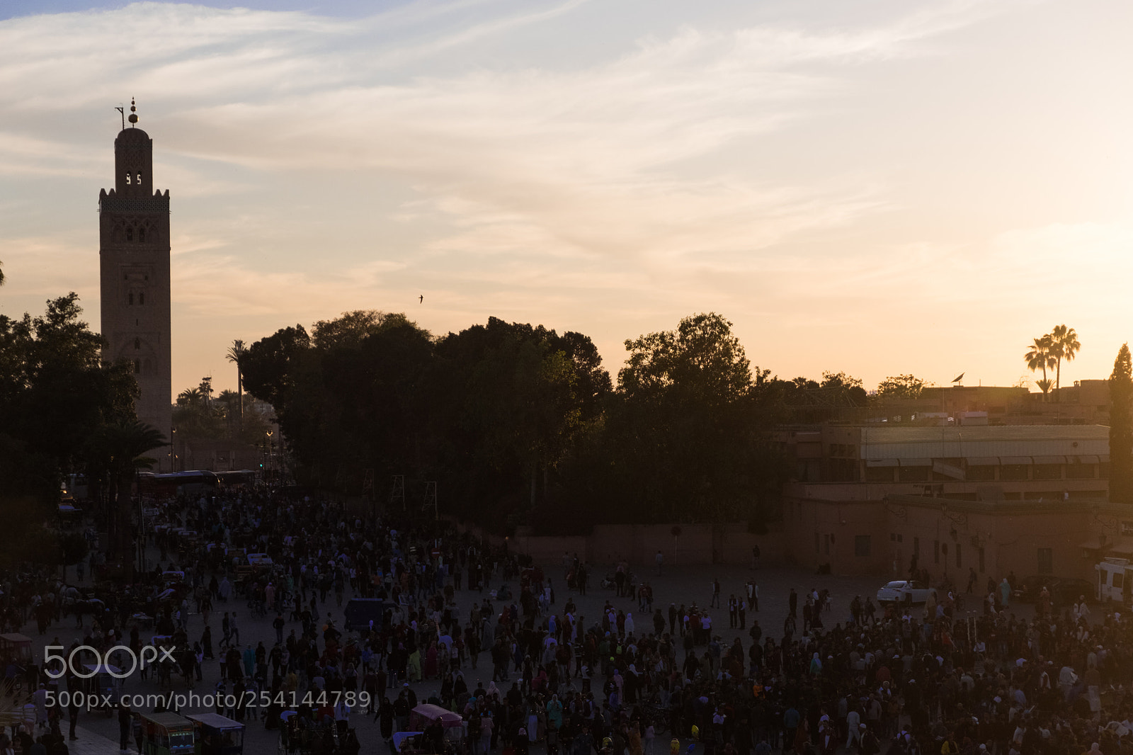 Fujifilm X-T20 sample photo. Marrakech jemaa el fnaa photography