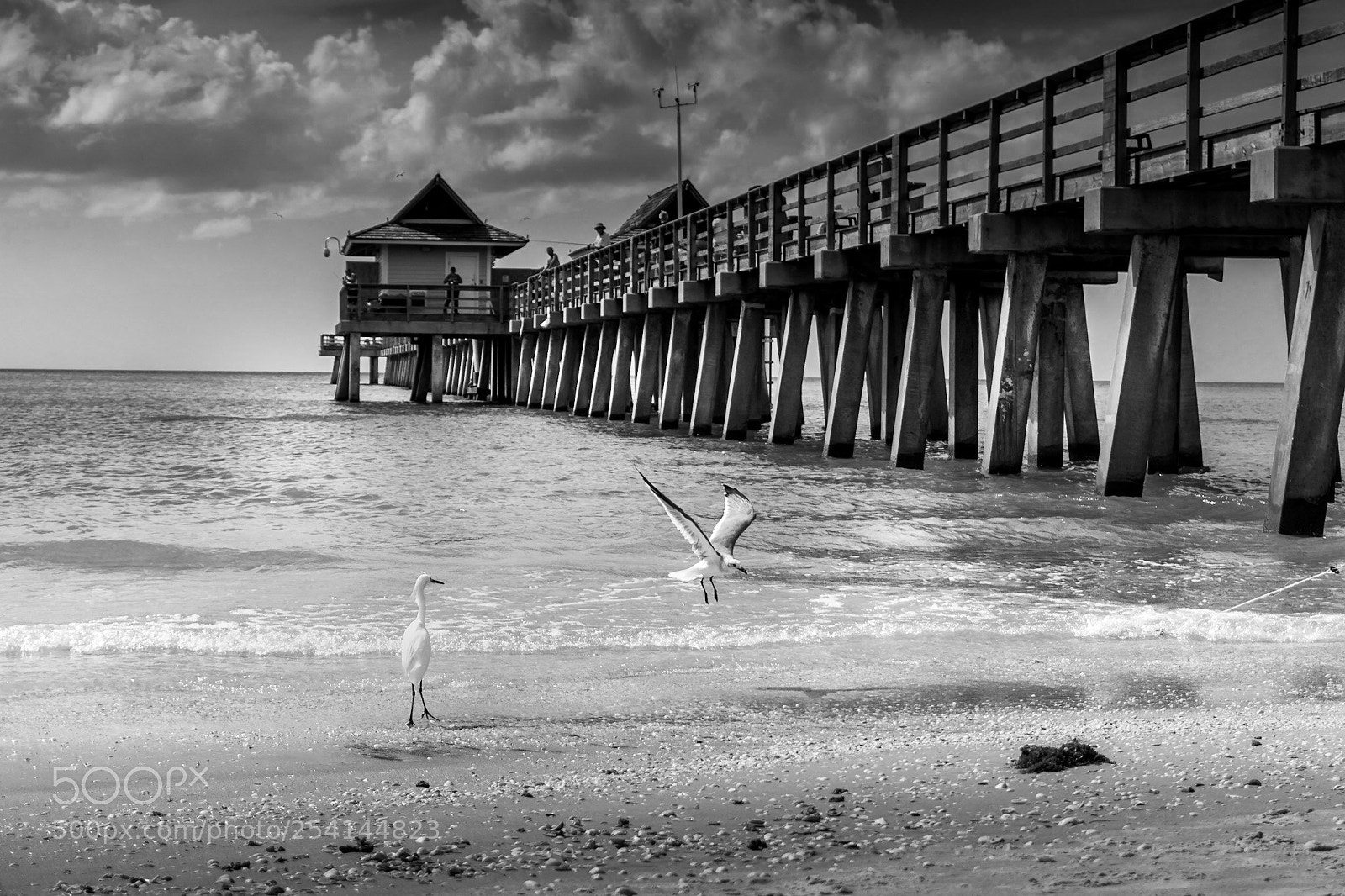 Sony a6000 sample photo. Naples pier photography