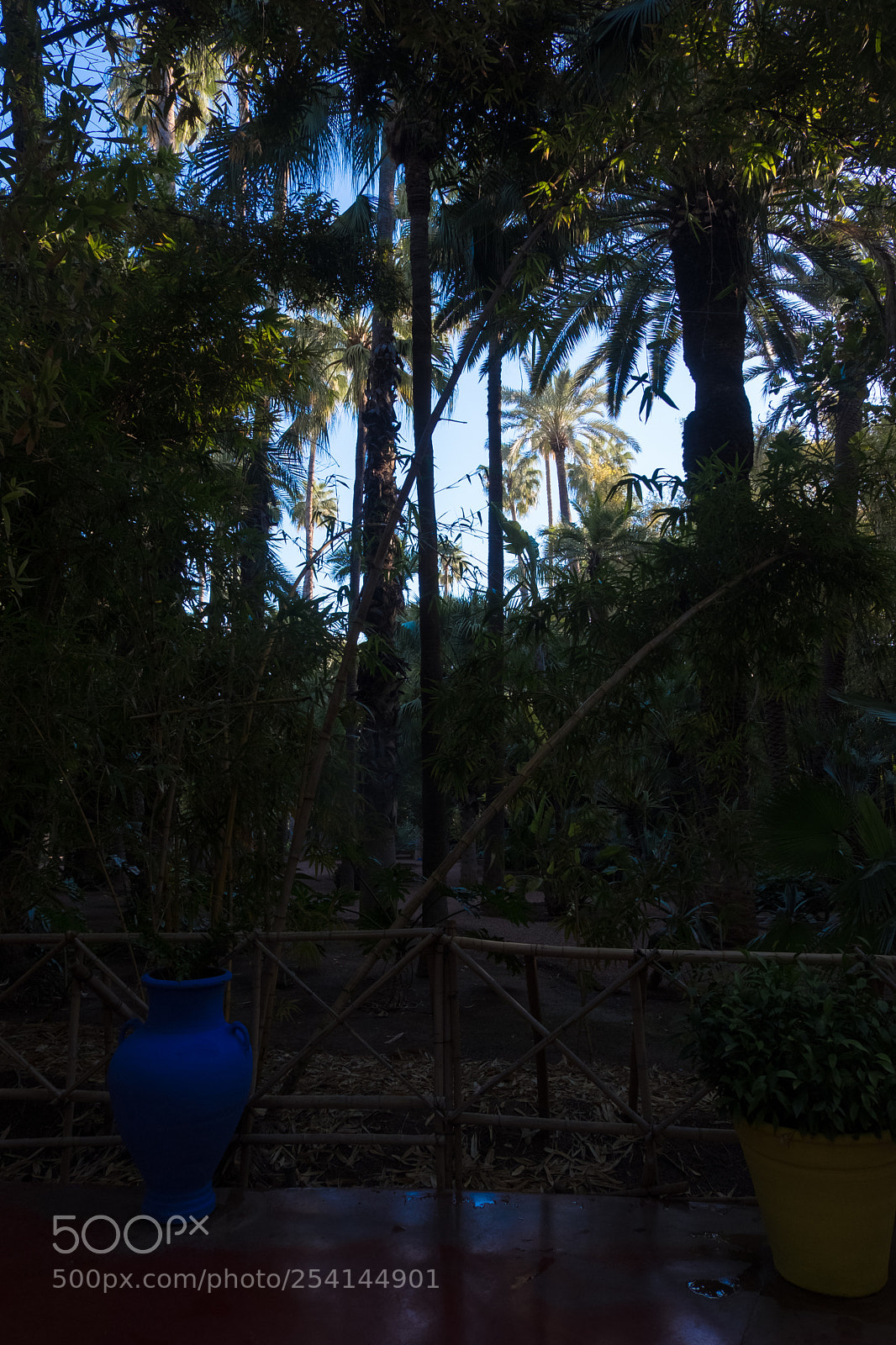 Fujifilm X-T20 sample photo. Marrakech - jardin majorelle photography